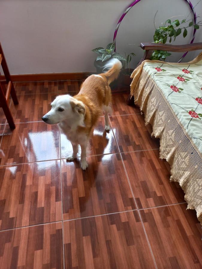 Quarto Individual Na Ary Parreiras Niterói Buitenkant foto